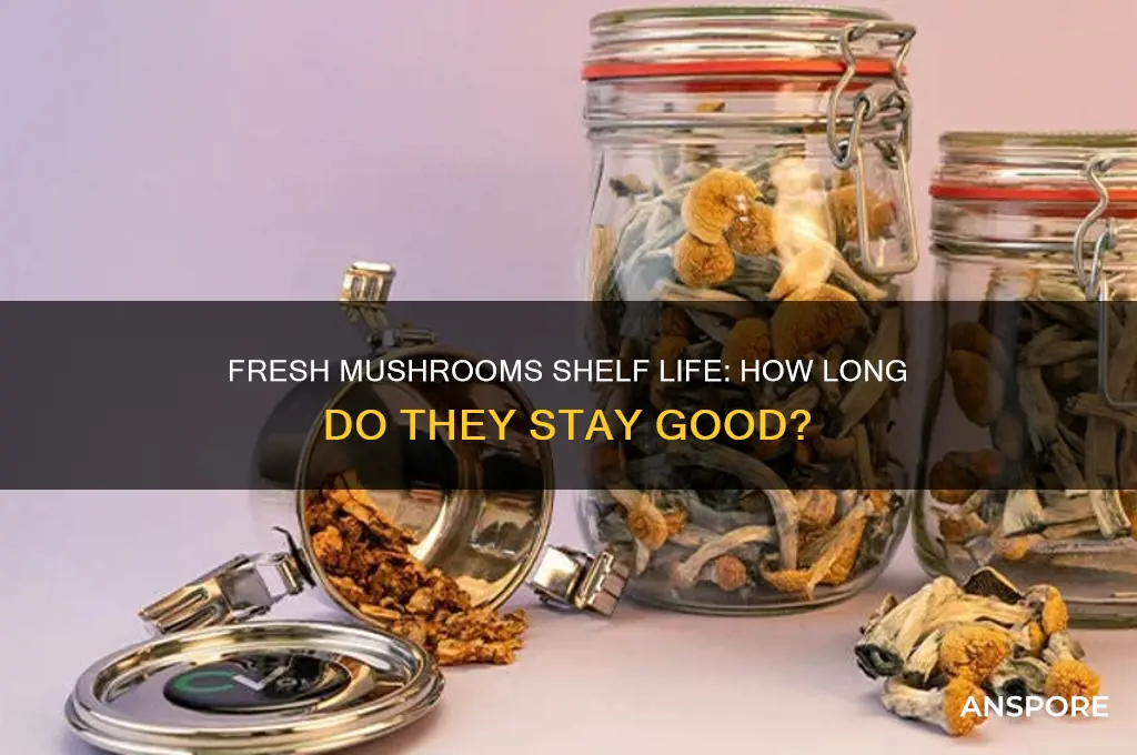 how long are fresh mushrooms good for