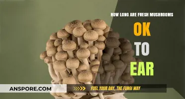 Fresh Mushrooms Shelf Life: How Long Are They Safe to Eat?