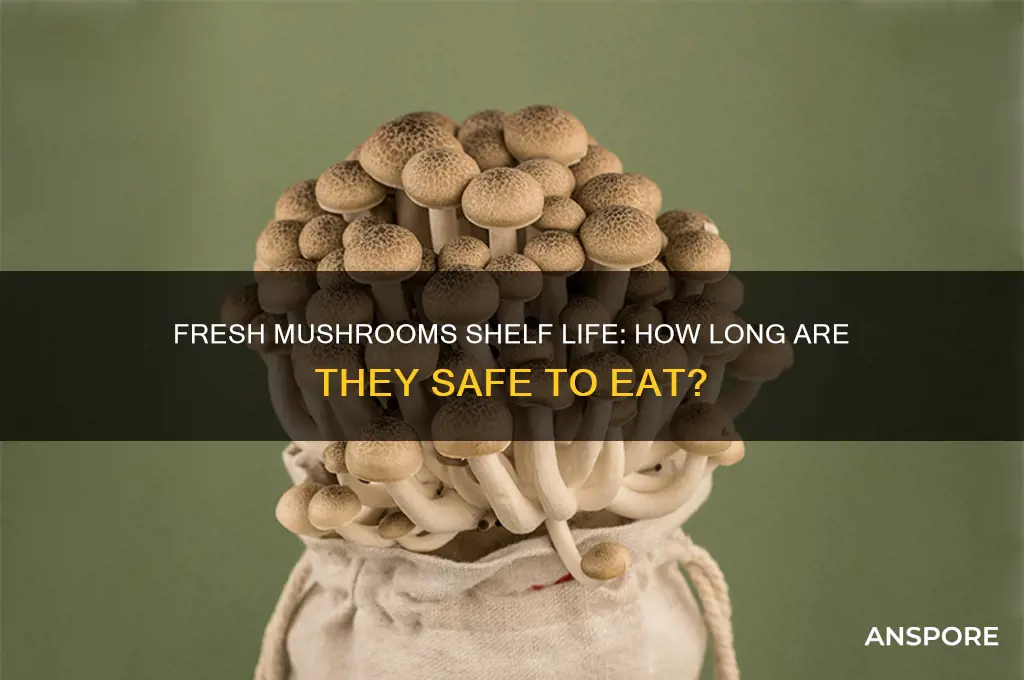 how long are fresh mushrooms ok to ear