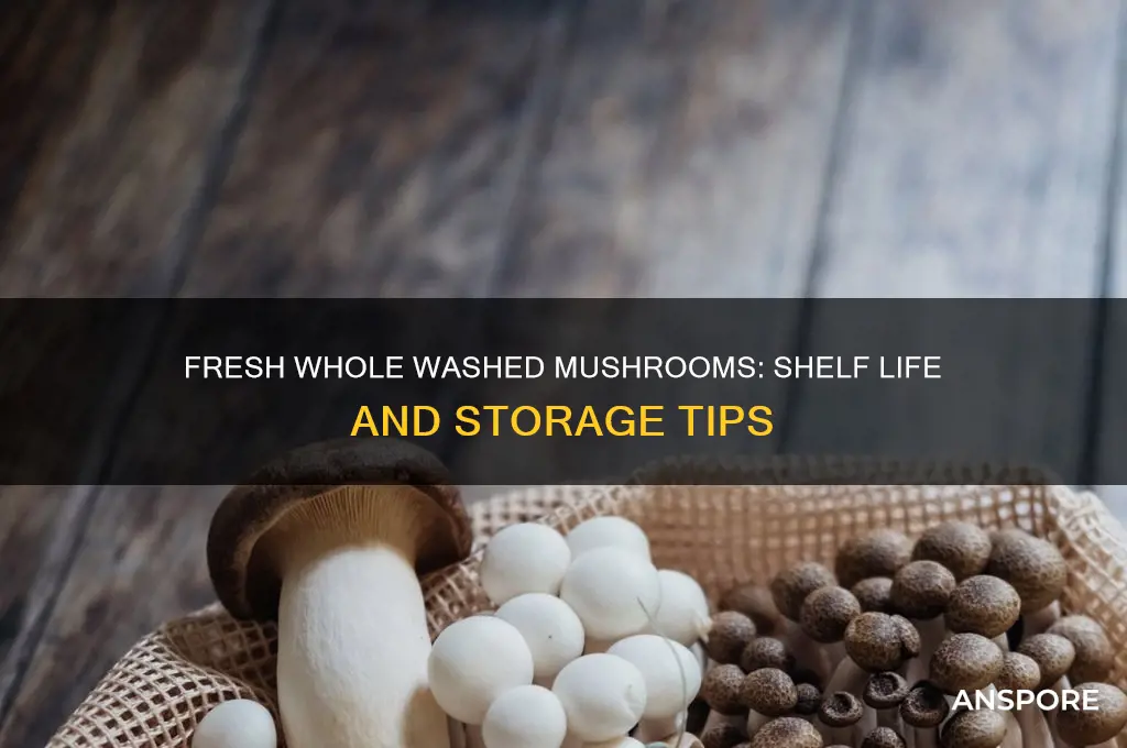 how long are fresh whole washed mushrooms good for