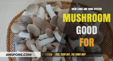King Oyster Mushrooms Shelf Life: Freshness and Storage Tips