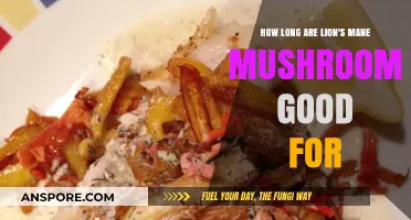 Lion's Mane Mushroom Shelf Life: Freshness, Storage, and Optimal Usage Tips