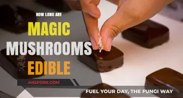 Magic Mushrooms Edibility: How Long Are They Safe to Eat?