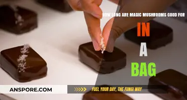 Shelf Life of Magic Mushrooms: How Long Do They Last in a Bag?