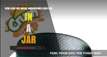 Magic Mushrooms in a Jar: Shelf Life and Storage Tips