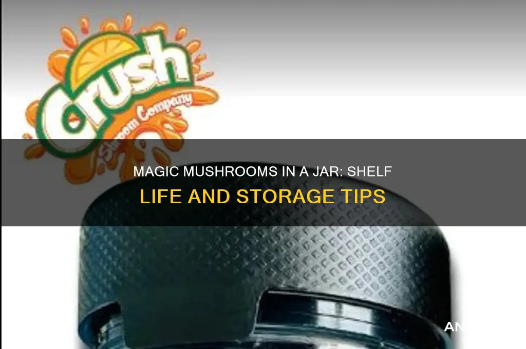 how long are magic mushrooms good for in a jar