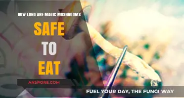 Safe Consumption Timeline: How Long Are Magic Mushrooms Edible?