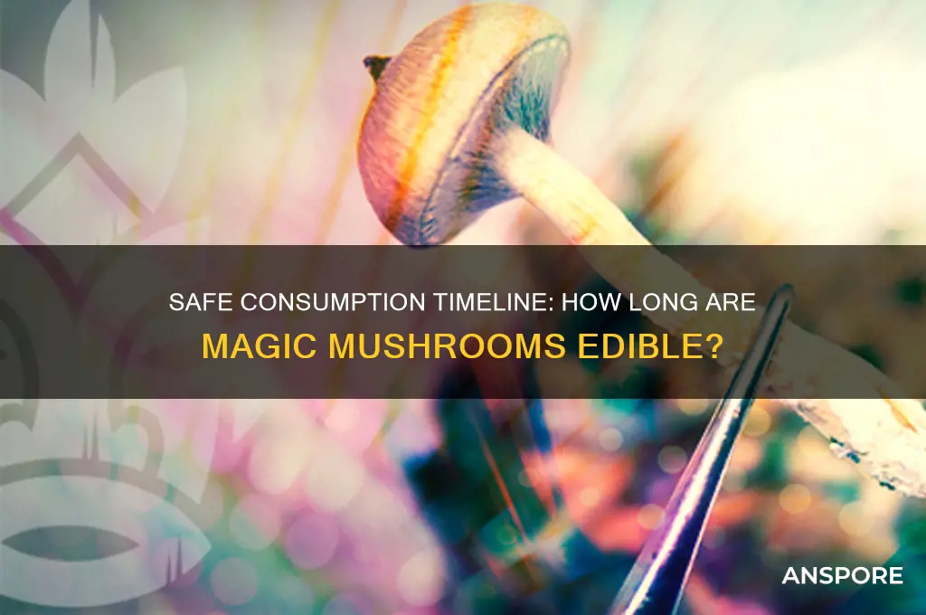how long are magic mushrooms safe to eat