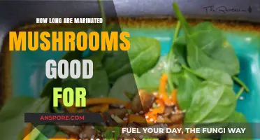 Marinated Mushrooms Shelf Life: How Long Do They Stay Fresh?