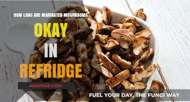 Marinated Mushrooms Shelf Life: How Long Do They Last in the Fridge?