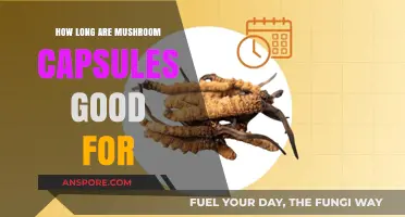 Shelf Life of Mushroom Capsules: How Long Do They Stay Fresh?
