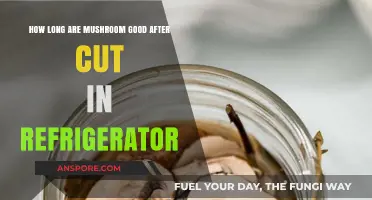 How Long Do Cut Mushrooms Stay Fresh in the Fridge?