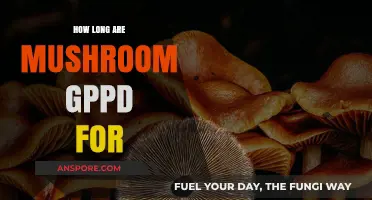 How Long Are Mushroom Spores Good For: A Comprehensive Guide