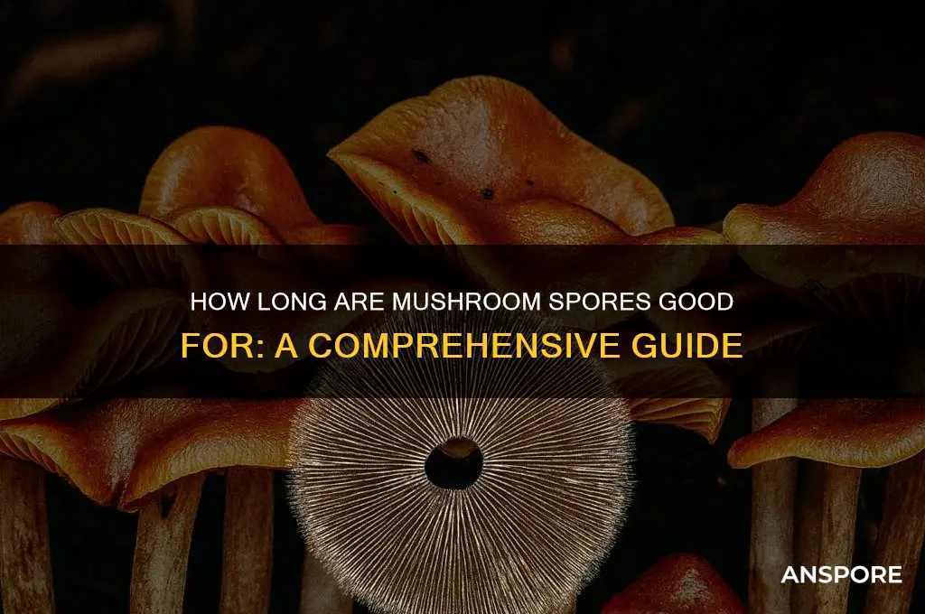 how long are mushroom gppd for