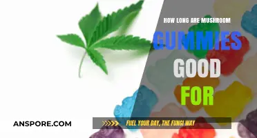 Shelf Life of Mushroom Gummies: How Long Do They Stay Fresh?