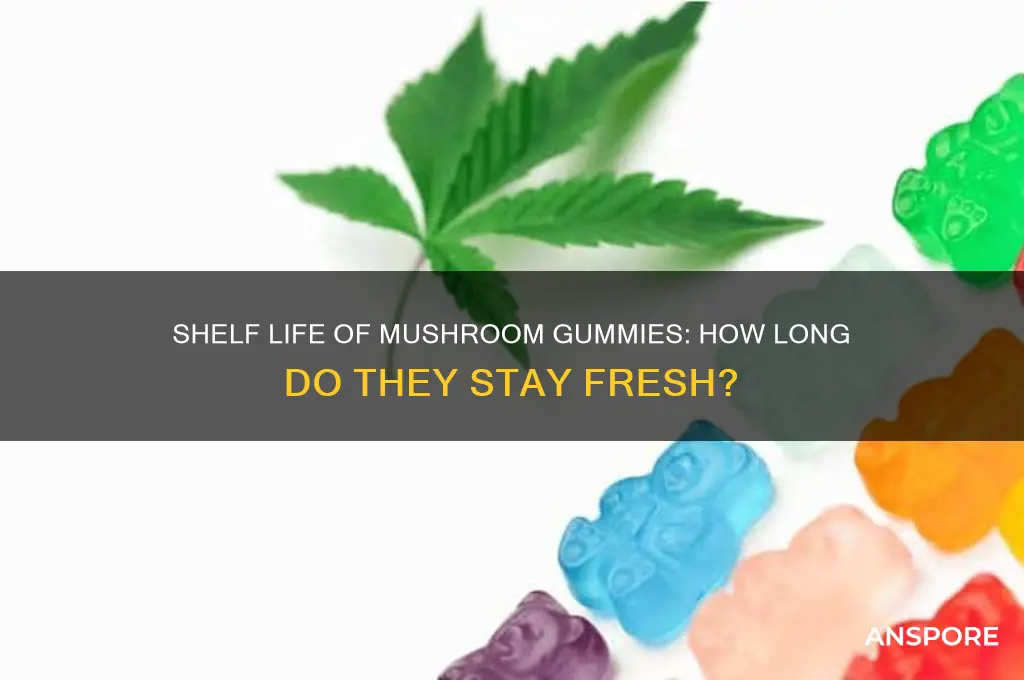 how long are mushroom gummies good for