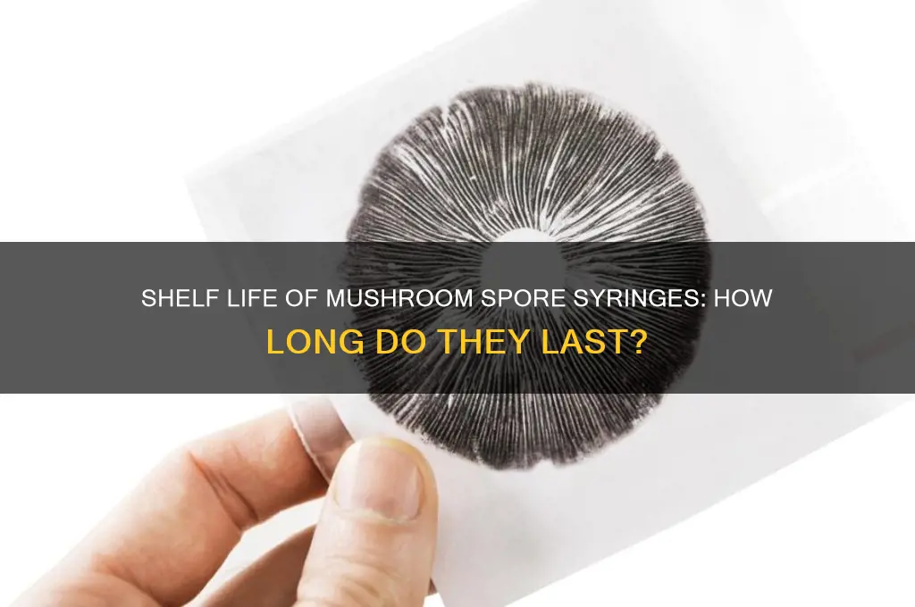 how long are mushroom spore syringes good for