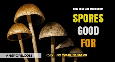 Shelf Life of Mushroom Spores: How Long Do They Remain Viable?