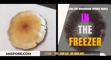 Freezing Mushroom Spores: How Long Do They Remain Viable?