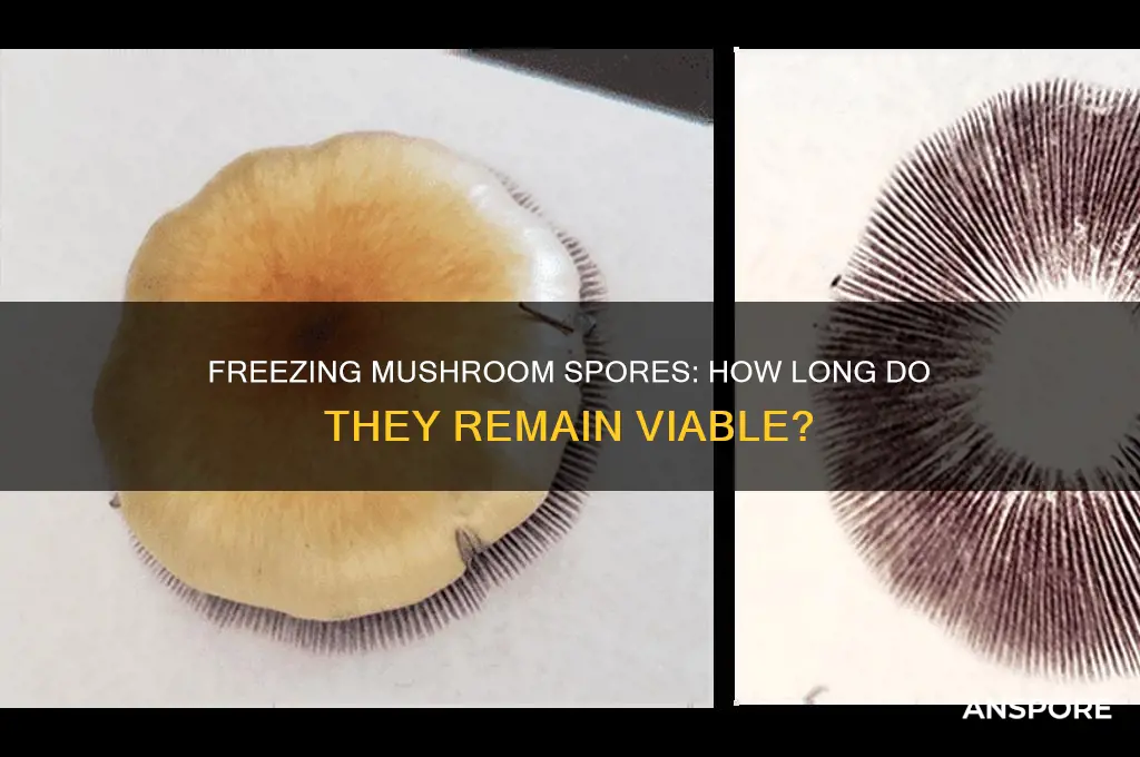 how long are mushroom spores viable in the freezer
