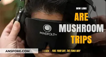Exploring the Duration of Mushroom Trips: What to Expect