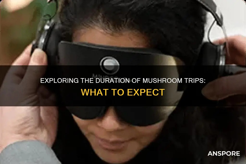 how long are mushroom trips