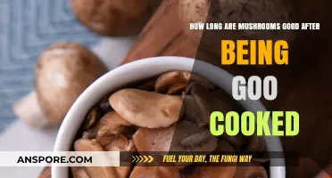 Cooked Mushrooms Shelf Life: How Long Do They Stay Fresh?