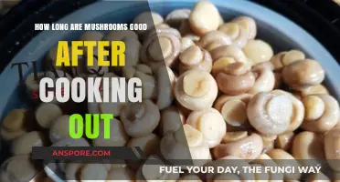 Cooked Mushrooms Shelf Life: How Long Do They Stay Fresh?