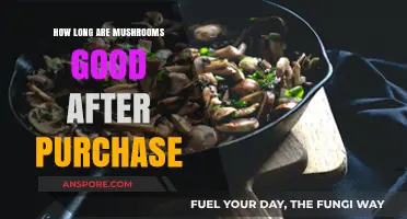 Maximizing Freshness: How Long Do Purchased Mushrooms Stay Good?