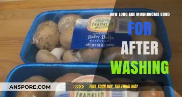 Washed Mushrooms: How Long Do They Stay Fresh and Safe to Eat?