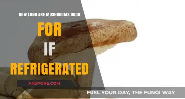 Refrigerated Mushrooms: Shelf Life and Freshness Tips Explained