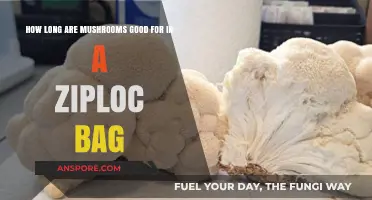 How Long Do Mushrooms Stay Fresh in a Ziploc Bag?