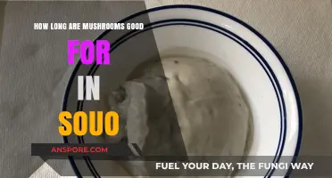 Shelf Life of Mushrooms in Soup: Freshness and Storage Tips