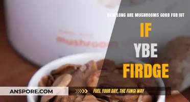 How Long Do Mushrooms Last in the Fridge? A Guide