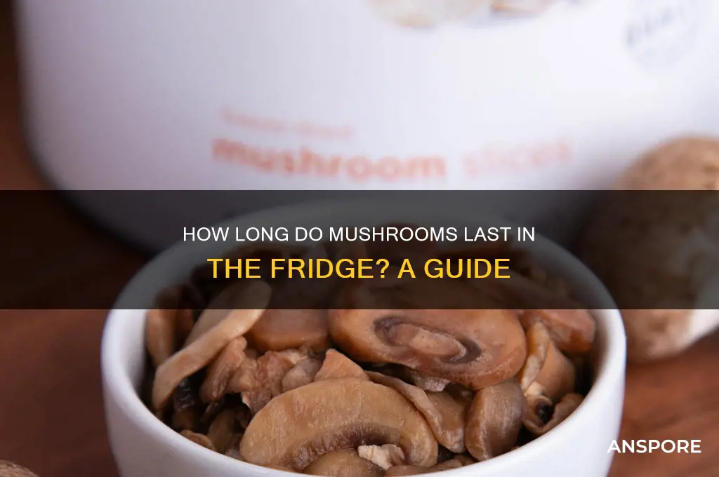 how long are mushrooms good for iut if ybe firdge