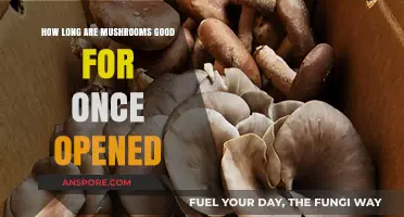 Opened Mushrooms: Shelf Life and Freshness Tips for Optimal Use
