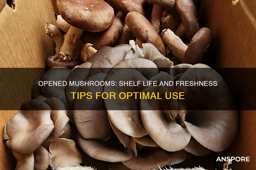 how long are mushrooms good for once opened