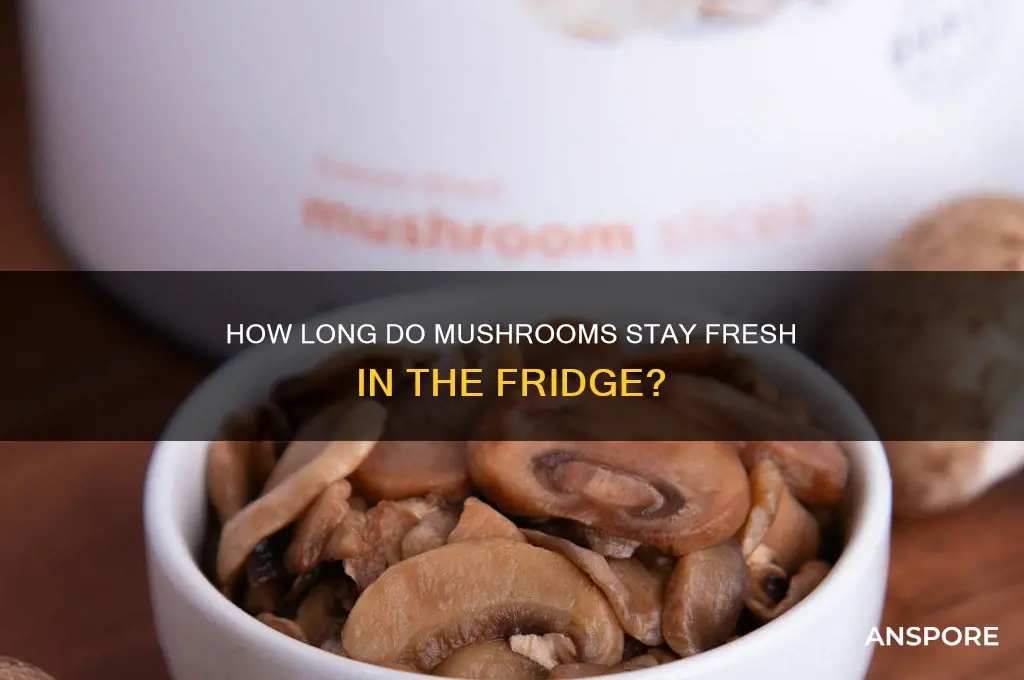 how long are mushrooms good in refrig
