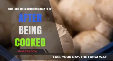 Cooked Mushrooms Shelf Life: How Long Are They Safe to Eat?