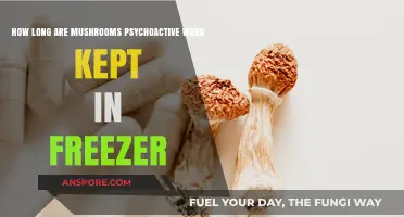 Freezing Mushrooms: How Long Do Their Psychoactive Effects Last?