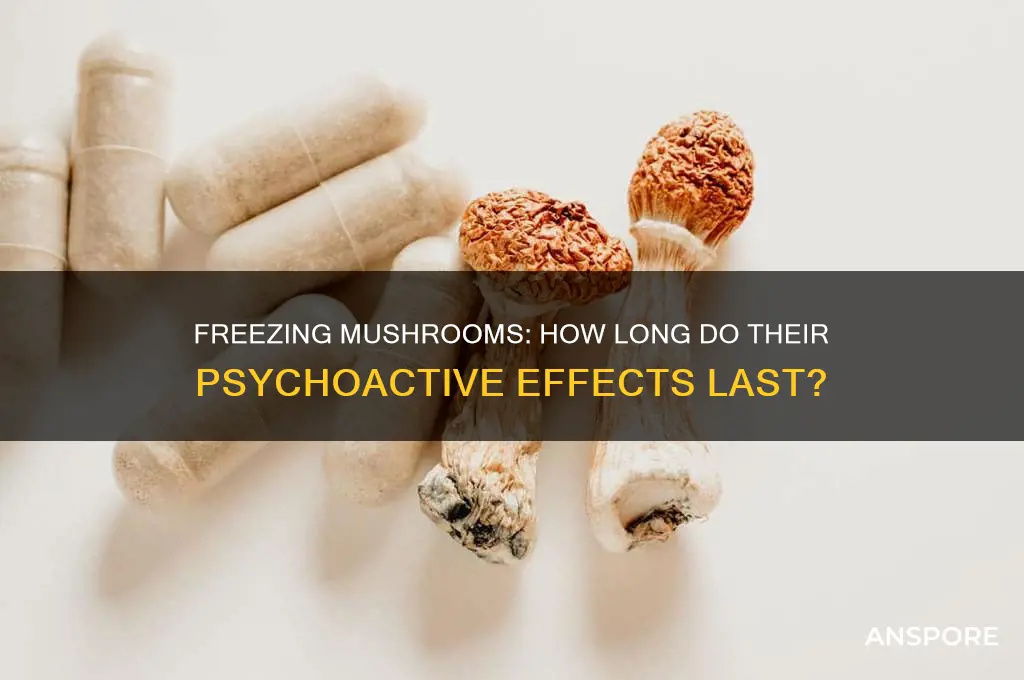 how long are mushrooms psychoactive when kept in freezer