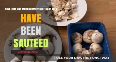 Sauteed Mushrooms' Shelf Life: How Long Do They Stay Fresh?