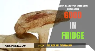 Green Giant Mushrooms: Fridge Lifespan and Freshness Tips