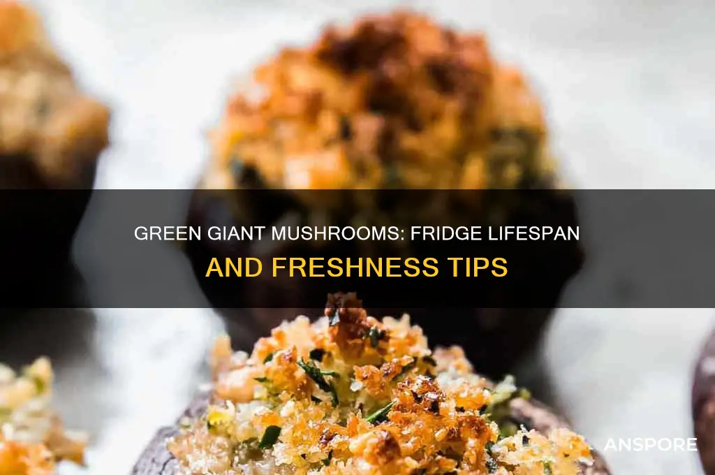 how long are open green giant mushrooms good in fridge