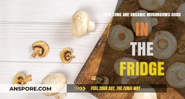 Organic Mushrooms: Fridge Storage Tips for Freshness and Longevity