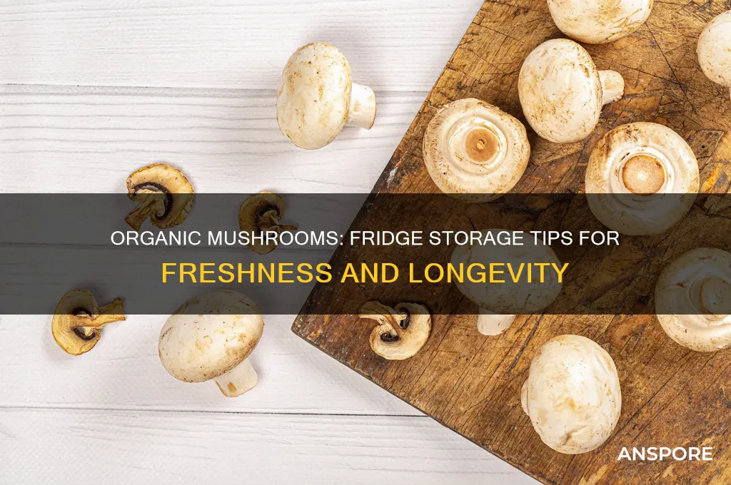 how long are organic mushrooms good in the fridge