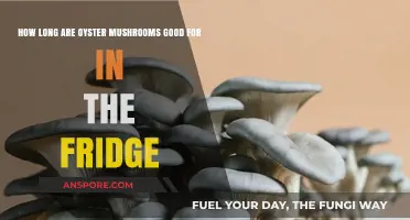 Oyster Mushrooms Shelf Life: How Long Do They Last in the Fridge?