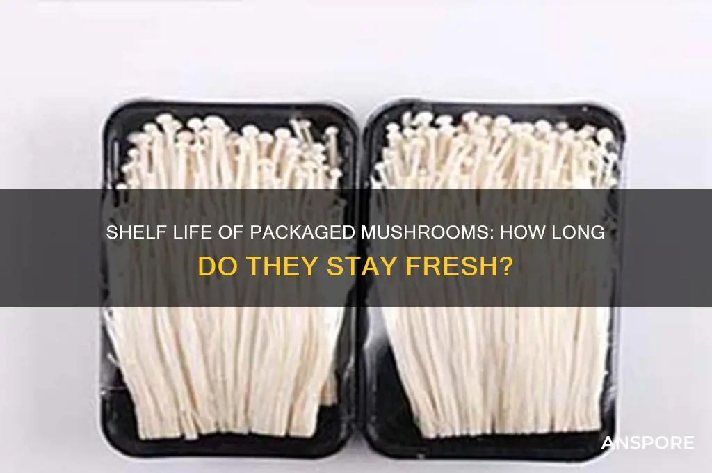 how long are packaged mushrooms good for