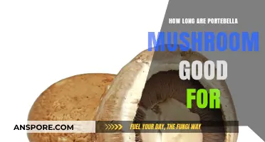Shelf Life of Portobello Mushrooms: Freshness and Storage Tips