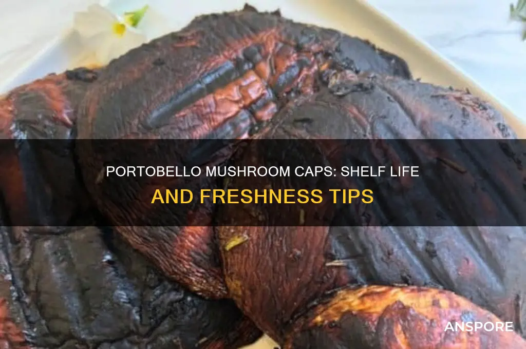how long are portobello mushroom caps good for